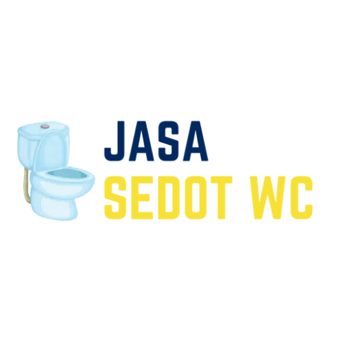 Sedot WC Mampet  di Salemba Raya